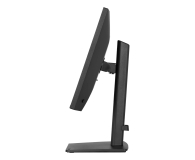 iiyama ProLite XB2491H-B1 - 1518006 - zdjęcie 4